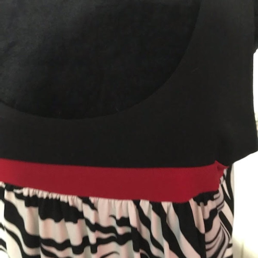 ZEBRA PRINT DRESS - Picture 2 of 5